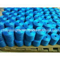 Hot Sale of PP Rope in Americal&Europen
